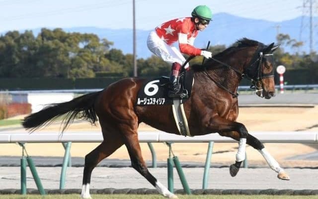 【府中牝馬S予想オッズ】ルージュスティリアが予想1番人気