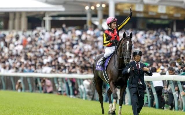 血統から見るソングライン 次走は米G1も「母父が伝えるスピードの持続力は武器」