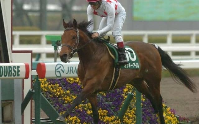 寒さに強い血統っている？ 日ごとに冷え込むこの時期に狙ってみたい種牡馬とは