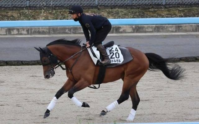 レッドルゼルなど、先週の入厩情報/栗東トレセンニュース