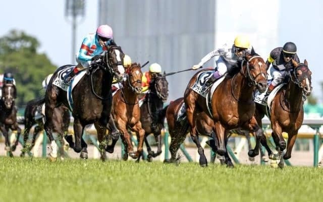 【天皇賞(秋)想定】イクイノックス、ドウデュースなど11頭