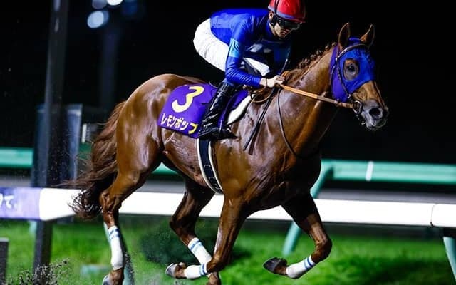 レモンポップの次走は3つの選択肢 ゴドルフィンが発表