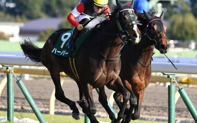 走りは世代上位 オークス2着の実力派がハーツクライ産駒の秋華賞初Vに挑む