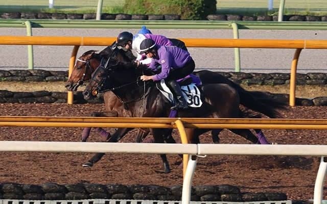 ドウデュース、天皇賞(秋)2週前追い切り速報/栗東トレセンニュース