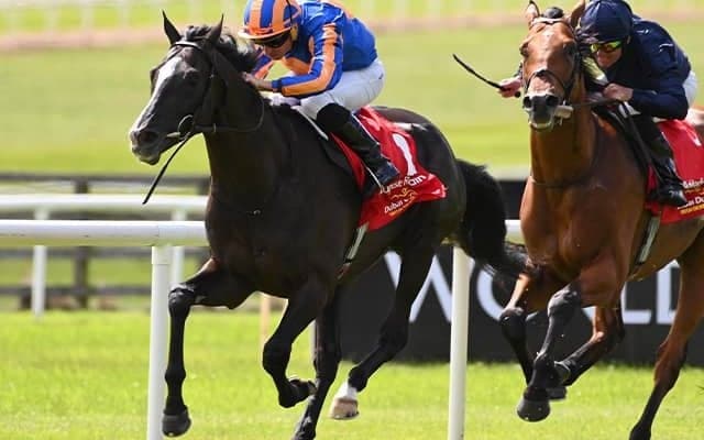 ディープ産駒のオーギュストロダンがジャパンCに予備登録