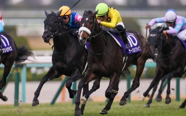 サークルオブライフが競走馬登録抹消