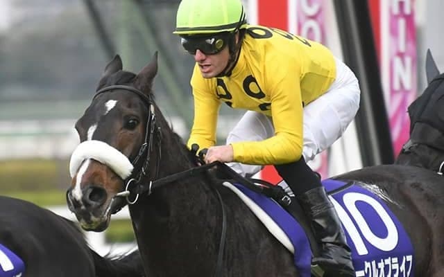 21年阪神JF覇者のサークルオブライフが登録抹消 今後は千代田牧場で繁殖牝馬に