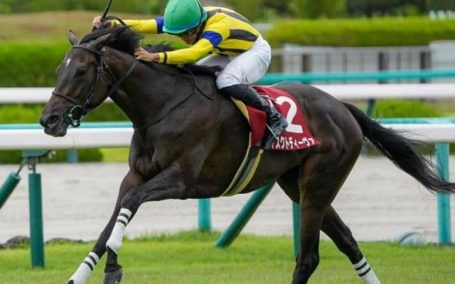 ローズS覇者が秋華賞でGI初制覇へ カギは京都内回りへのコース替わり