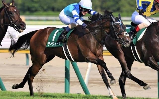 府中牝馬S出走の良血馬ディヴィーナ 8度目の重賞チャレンジで初制覇なるか