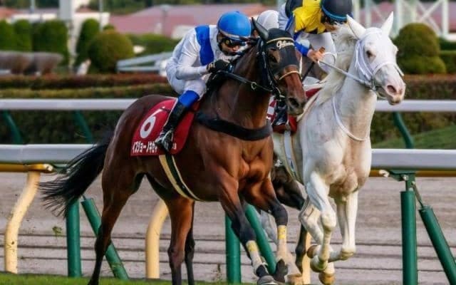 府中牝馬S連覇を狙うイズジョーノキセキ 6歳馬Vで歴史をつくるか