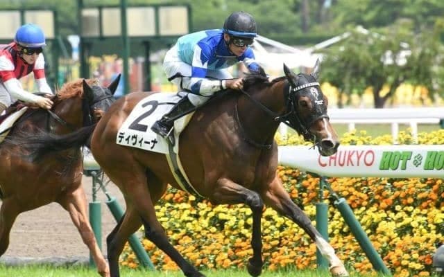 【府中牝馬S枠順確定】ルージュスティリアは3枠3番、ディヴィーナは5枠7番