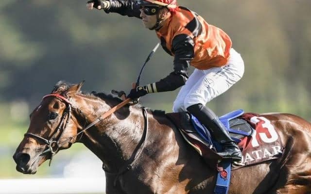 無敗の凱旋門賞馬エースインパクトが引退 仏・ボーモン牧場で種牡馬入り