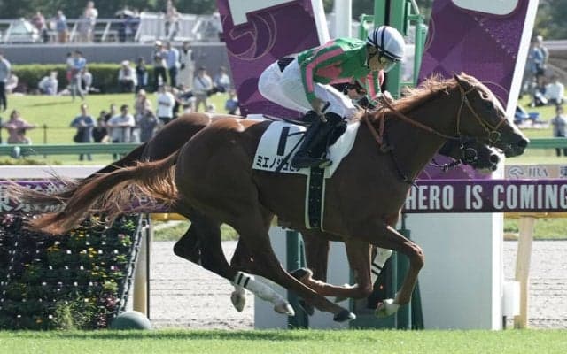 【新馬/東京6R】ブリックスアンドモルタル産駒 ミエノジュピターがデビューV