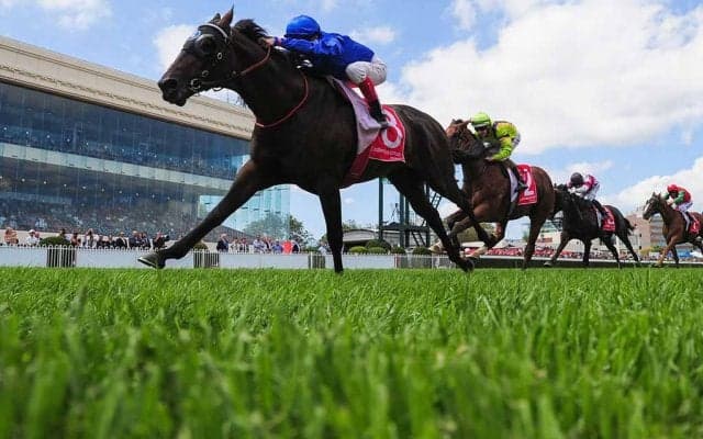 【秋華賞／データ攻略】想定5人気以下に“馬券内率100％”　最高の枠順でリバティアイランドに一矢報いる