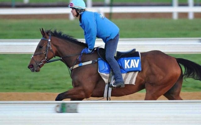 【秋華賞／追い切り診断】ハーパーらオークス組より上の高評価「A」　「前走以上の力強さと気持ちの乗り」