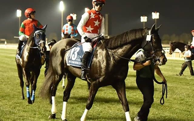 【富士S想定馬・騎手】ステラヴェローチェ、シャンパンカラーなど13頭