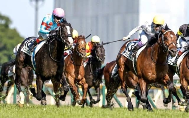 【天皇賞(秋)想定馬・騎手】イクイノックス、ドウデュースなど12頭