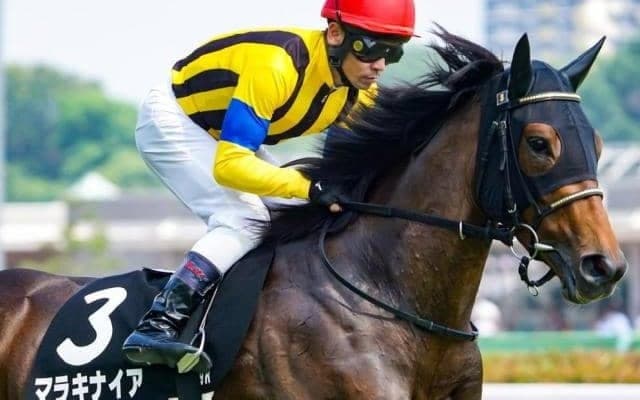 大舞台の大穴血統馬が秋華賞参戦 初GIで一発あるか
