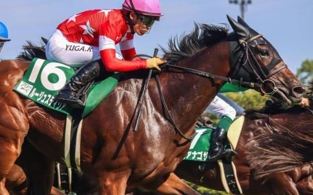 前走は不利大で不完全燃焼 ルージュスティリア府中牝馬Sで初タイトルなるか