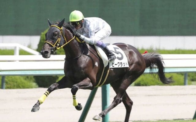 1歳世代にはダービー馬ドウデュース半弟がラインナップ！評価のほどは？期待の2歳馬は？--インゼルTCに聞く