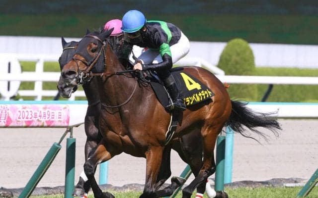 三冠牝馬誕生に注目の秋華賞　一発に期待なら思いきった騎乗ができる人気落ちの先行馬