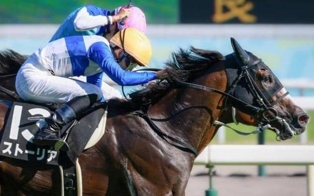 府中牝馬S出走のストーリアが予後不良に 14日の出来事一覧/新潟・東京・京都
