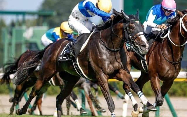 府中牝馬Sに出走したストーリアが予後不良に