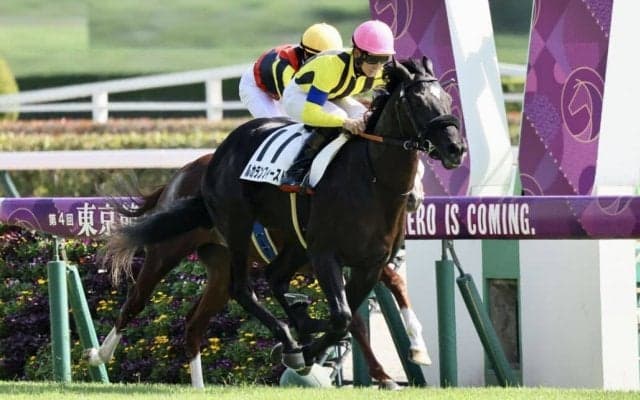 【新馬/東京5R】ルカランフィーストが抜け出す…松山騎手はJRA通算1100勝達成