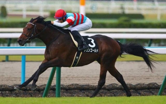 【紫菊賞】断然人気ジュンゴールドが完勝