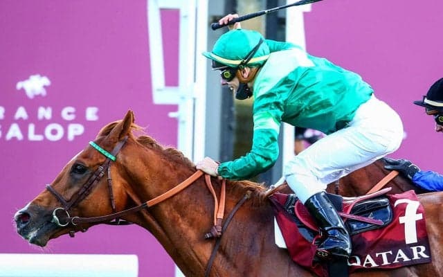 凱旋門賞馬の全弟シンエンペラー　デビューへの準備過程で見せる世界的良血馬の底知れなさ