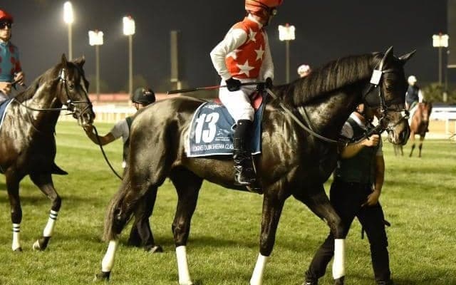 【富士S】ステラヴェローチェ、ナミュールらが登録