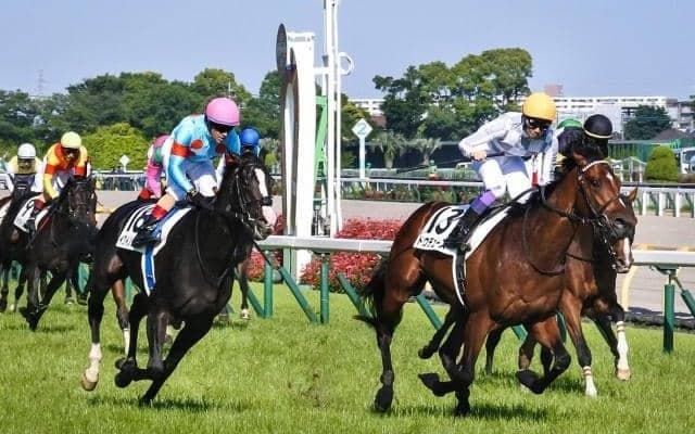 天皇賞(秋)登録馬 イクイノックス、ドウデュースらGI馬5頭を含む13頭