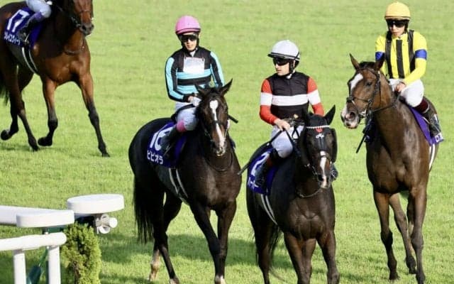 【秋華賞】ルメール「精一杯走ってくれた」レース後ジョッキーコメント