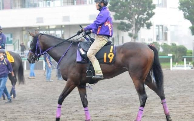 エフフォーリアの半妹イゾラフェリーチェがスタンバイ 東京の新馬戦に東西良血馬が集結/関東馬メイクデビュー情報