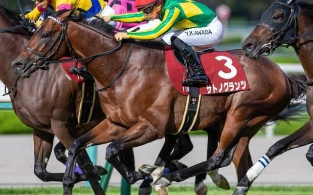 川田将雅騎手が重賞2勝の実力馬で参戦 菊花賞父仔3代Vへと導けるか