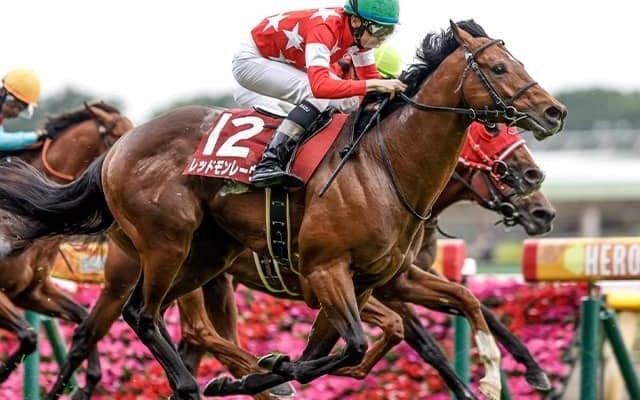 【富士S想定騎手】ナミュールはJ.モレイラ騎手、レッドモンレーヴは横山和生騎手