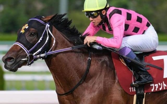 武豊騎手が33回目の菊花賞 淀を知り尽くした名手が6勝目狙う