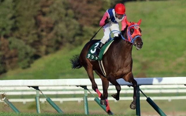 【盛岡・サファイア賞】ダットが大差圧勝…高橋悠「折り合い気をつけた」