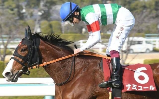 【富士S予想オッズ】ナミュールが予想1番人気