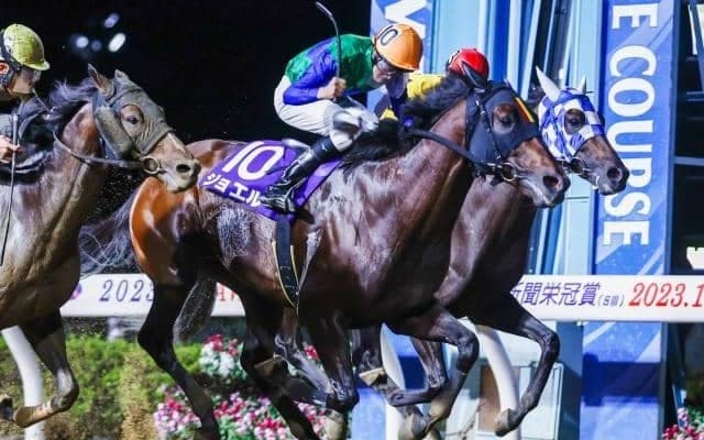 【浦和・埼玉新聞栄冠賞結果】ジョエルが2年2か月ぶりの重賞V ルーキー所蛍騎手は重賞初制覇