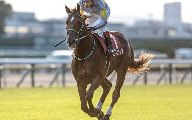 【コーフィールドC】ブレークアップは芝コースを単走 D.レーン騎手「勝つことができるレベルの馬」