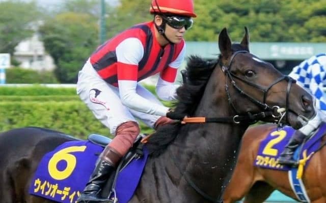 エピファネイア産駒は菊花賞で目覚める!? 実力十分の1勝馬に要注意