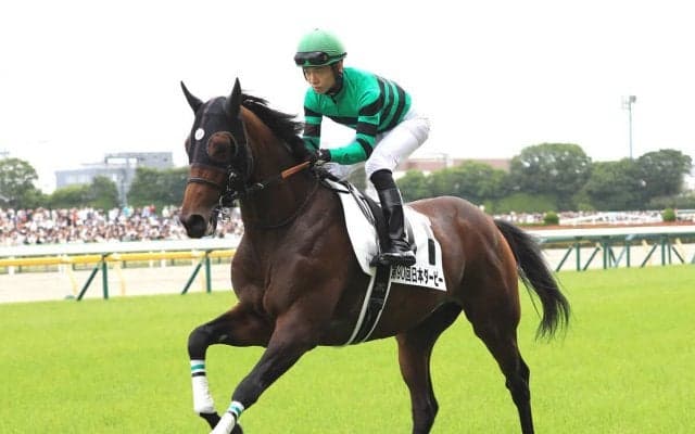 菊花賞はハーツクライ産駒と「父仔３代制覇」を狙うディープインパクト系に注目