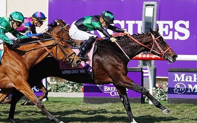 米ブリーダーズカップの馬券発売が決定 日本からは対象4競走に6頭が出走予定