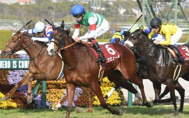 【富士S出走馬・騎手確定】ナミュール＆モレイラ騎手、レッドモンレーヴ＆横山和生騎手など12頭