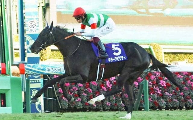 【富士S／全頭診断】馬券妙味は「2.1.0.0」条件合致の5歳馬 ブランク明けステラヴェローチェの評価は