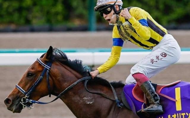 菊花賞父仔制覇なるか ソールオリエンスなど4頭がチャレンジ