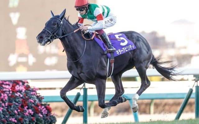 富士S×ディープ産駒は好相性 キラーアビリティが復活Vなるか