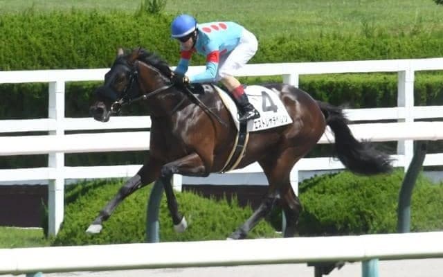 デビュー戦7馬身差Vのエストレヤデベレン、前哨戦を制したパッションクライなど JBC2歳優駿選定馬が発表