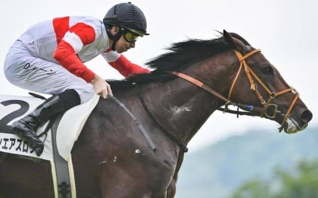 総額8億6000万円の良血馬対決！ 来年のクラシックへ弾みをつけるのは